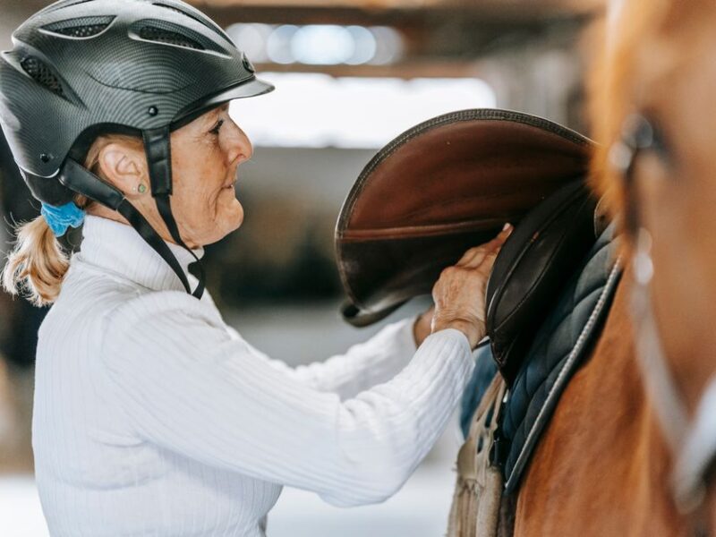 Adult woman prepares horse for riding by adjusting saddle in stable.